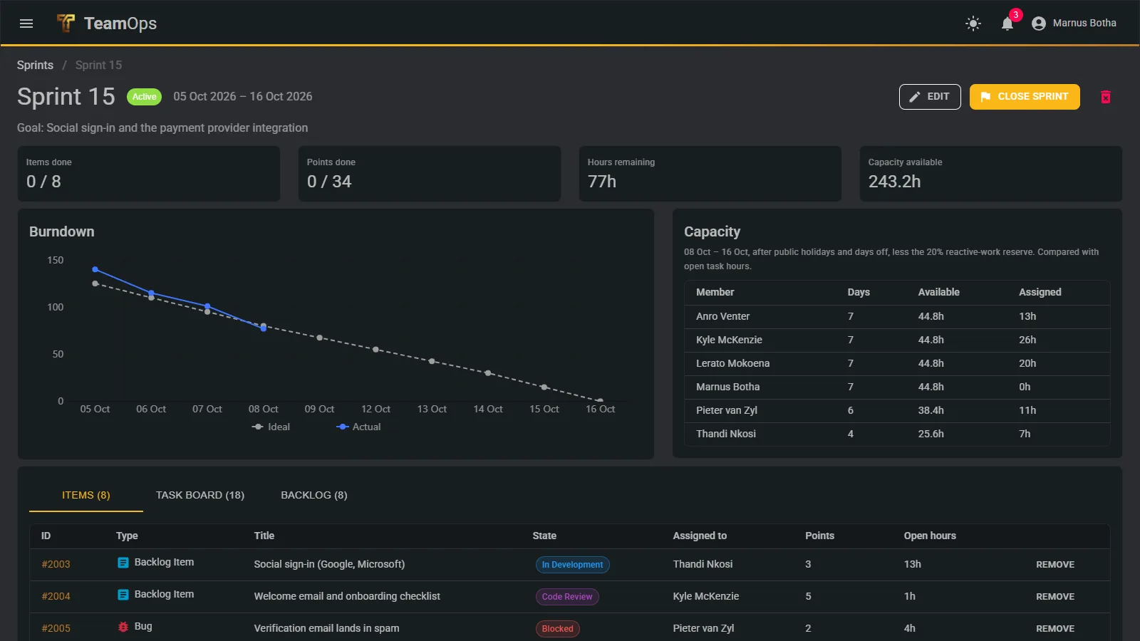 A sprint overview with burndown and capacity